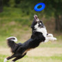 Igračka za psa Nerf Dog Translucent TPR Tire Flyer 25 cm