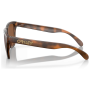 Sunčane naočale OAKLEY Frogskin Prizm Tungsten