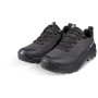 Muške trekking cipele Mammut Ducan III Low GTX Men