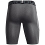 Muški funkcionalni donji veš Under Armour HG Armour Lng Shorts