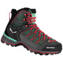 Ženske cipele Salewa Ws Mtn Trainer Lite Mid Gtx crna/siva