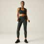 Ženske tajice Dare 2b Influential II Legging
