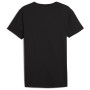 Muška majica Puma Everyday Crew Neck Tee 2P