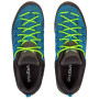 Muške cipele Salewa Ms Mtn Trainer Lite