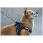 Povodac za psa Curli Ultra Strong Pocket Leash