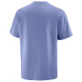 Muška majica Salomon Wild Rays Label SS Tee