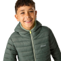Dječja zimska jakna Regatta Junior Hooded Marizion Dark Forrest Green