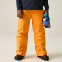 Dječje skijaške hlače Dare 2b Outmove III Insulated Pant ElectricOrng