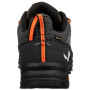 Muške cipele za planinarenje Salewa Alp Trainer 2 Gtx M