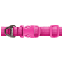 Ogrlica za psa Ruffwear Front Range™ Collar