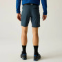 Muške kratke hlače Regatta Xert Stretch Shorts