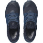 Muška obuća Salomon Wildcross GTX