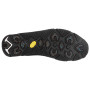 Ženske cipele Salewa Ws Mtn Trainer 2 Winter Gtx