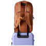Ruksak Cotopaxi Allpa 26L Daypack