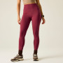 Ženske tajice Dare 2b Power Legging