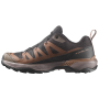 Muške cipele Salomon X Ultra 360 Gore-Tex
