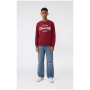 Dječja dukserica Champion Crewneck Sweatshirt B GMS