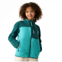 Dječja funkcionalna dukserica Regatta Junior Frankie Warm Fleece Mediterranea/Turquoise