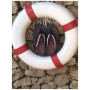 Japanke Gumbies Cairns Red