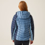 Ženska zimska jakna Regatta Women Hooded Dalent