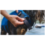 Prsluk za plivanje za psa Ruffwear Float Coat™ Life Jacket