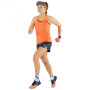 Ženske kratke hlače Dynafit Alpine Shorts W