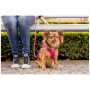 Povodac za psa Curli Stretch Comfort Leash