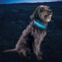 Svjetleća ogrlica za psa Nite Ize NiteDog® Rechargeable LED Collar Cover
