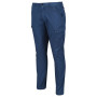 Muške hlače Regatta Bryer Cargo Trousers II