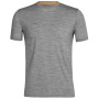 Muška majica Icebreaker Men Sphere II SS Tee 2021 siva