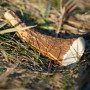 Igračka za psa Explorer Dog Antler Chew easy