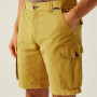 Muške kratke hlače Regatta Shorebay Shorts II