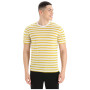 Muška majica Icebreaker Drayden SS Tee Stripe