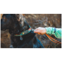Ogrlica za psa Ruffwear Front Range™ Collar
