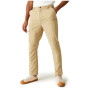Muške hlače Regatta Dalry Trouser
