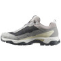 Ženske cipele Salomon X Ultra 5 Gore-Tex
