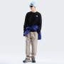 Muška dukserica The North Face M Evolution Box Nse Regular Crew