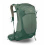 Turistički ruksak Osprey Stratos 24 zelena pine leaf