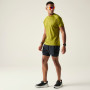 Muška majica Dare 2b Accelerate Tee