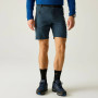Muške kratke hlače Regatta Xert Stretch Shorts