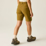 Ženske kratke hlače Dare 2b Womens Torrek Short