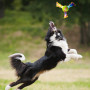 Igračka za psa Nerf Dog Color Grip Tri Flyer 20 cm