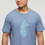 Muška majica Cotopaxi Into the Pines T-Shirt