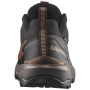 Muške cipele Salomon X Ultra 360 Gore-Tex