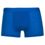 Muške bokserice Icebreaker M Anatomica Cool-Lite Trunks