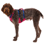 Ogrlica za psa Ruffwear Flagline™ Harness