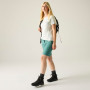 Ženske kratke hlače Regatta Women’s Xert Stretch Bermuda Light