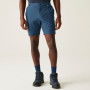 Muške kratke hlače Regatta Travel Light Packaway Shorts