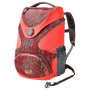 Dječji ruksak  Jack Wolfskin Ramson Top 20 Pack crvena CoralPaw
