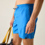 Muške kratke hlače Regatta Mackleyna Swim Short